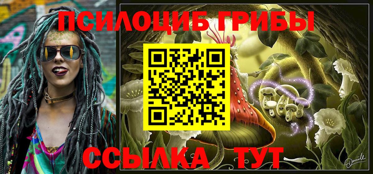 Псилоцибиновые грибы GOLDEN TEACHER Среднеуральск