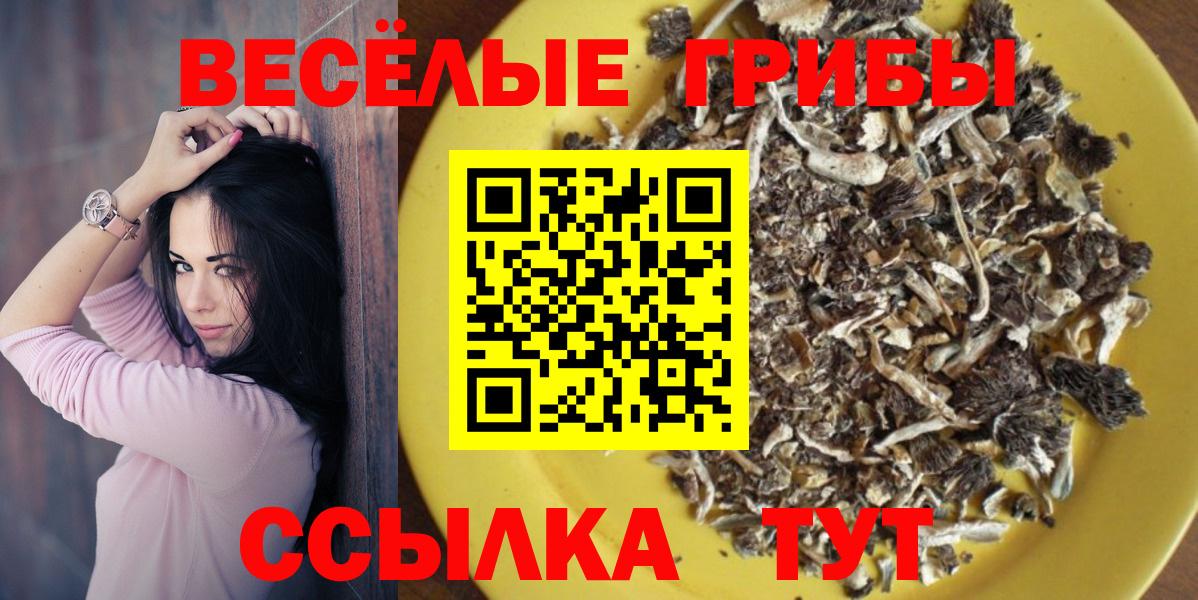 Среднеуральск  Псилоцибиновые грибы MAGIC MUSHROOMS  Вход с VPN  Псилоцибиновые грибы Psilocybe 